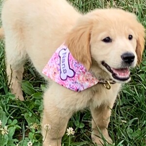 Mary added a photo of their purchase