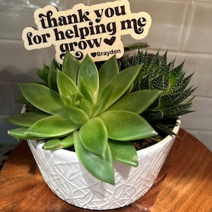 Lauren added a photo of their purchase