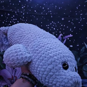 Lily added a photo of their purchase