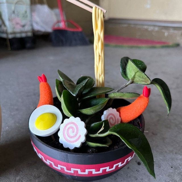 小物 SRL.NOODLE BOWL PLANT POT 231 AINH-AC03 SRL . NOODLE BOWL PLANT POT SRL . SMALL BOWL PLANT POT