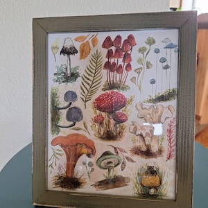 Diane ha aggiunto una foto del proprio acquisto
