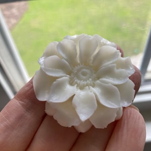 Lois added a photo of their purchase