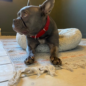 Amelia ha añadido una foto de su compra
