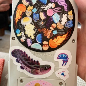 Nick ha añadido una foto de su compra