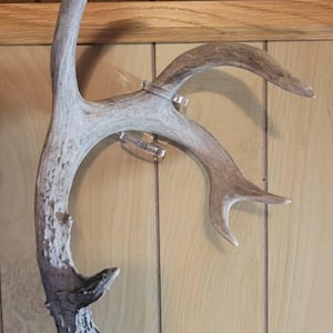 Travis added a photo of their purchase