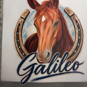 Aquila added a photo of their purchase