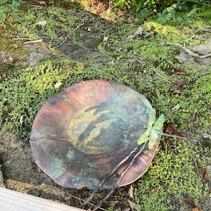 Catherine added a photo of their purchase