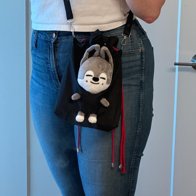 SKZOO Bag, Skzoo Carrier Bag, Concert Bag, Stray Kids Merchendise