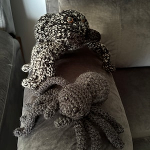 Tracy hat ein Foto des gekauften Artikels hinzugefügt
