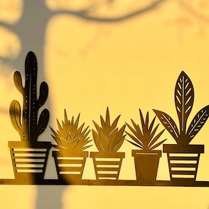 Xabier added a photo of their purchase