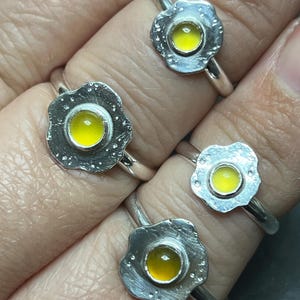 Katherine added a photo of their purchase