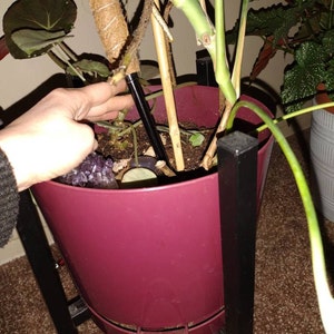 Elizabeth added a photo of their purchase