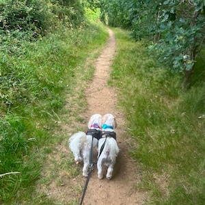 Daisy added a photo of their purchase