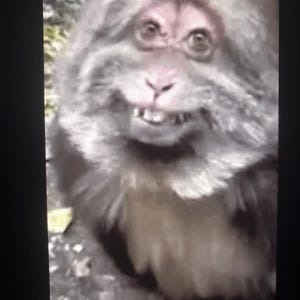 Alara added a photo of their purchase