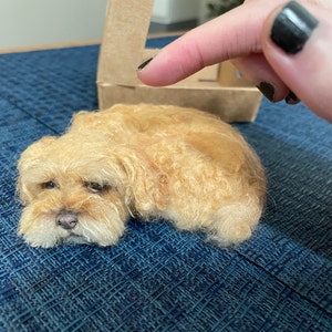 Ruth added a photo of their purchase