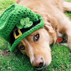 Dog Hat Leprechaun Hat for Dogs 
