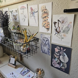 Etsy-Käufer:in hat ein Foto des gekauften Artikels hinzugefügt