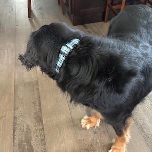 Amanda added a photo of their purchase