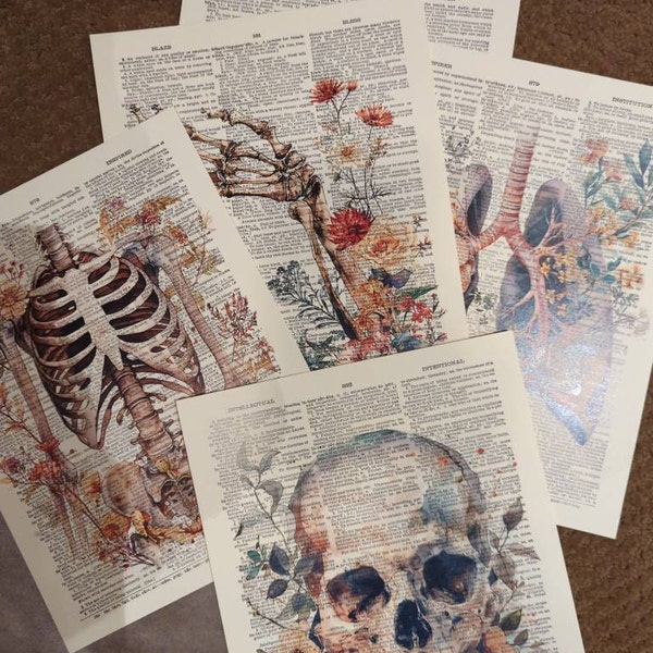 Anatomy Print Set 6 Medical Wall Art Anatomical Poster Home Decor Gifts ...