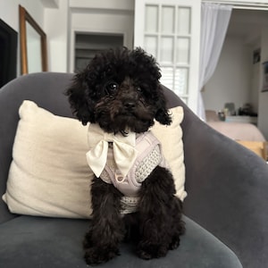 Sydney added a photo of their purchase