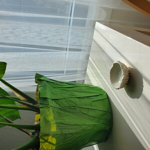 katya orlova added a photo of their purchase