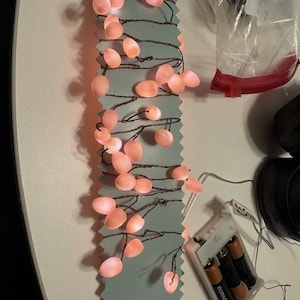 Sylvie added a photo of their purchase