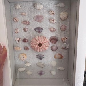Haley added a photo of their purchase