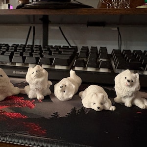 Toasty added a photo of their purchase