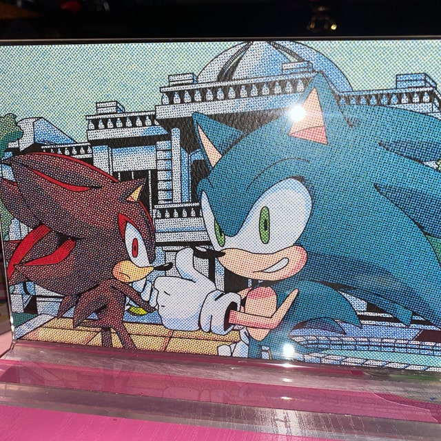 Sonic and shadow making out as president's picture [Shadow The