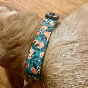 Kayla added a photo of their purchase