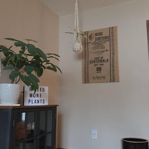 Rachel added a photo of their purchase