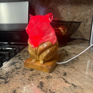 Etsy buyer added a photo of their purchase