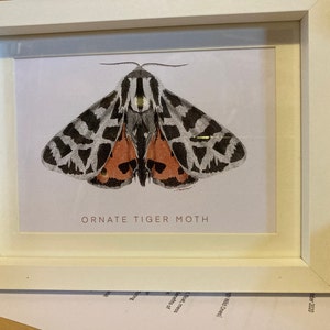 Helen ha añadido una foto de su compra