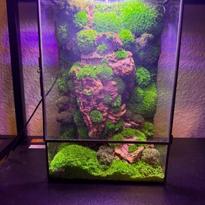 Paul added a photo of their purchase