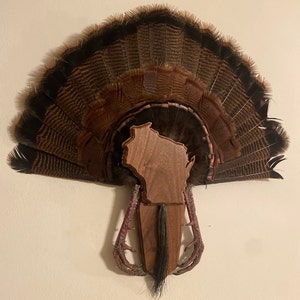 Turkey Thugs/Quaker Boy FAN & BEARD Mount/Mounting Plaque/Board Solid Oak 99801 