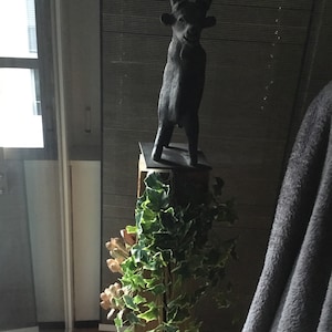 Stephan added a photo of their purchase