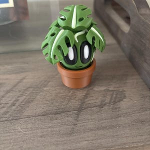 Eli hat ein Foto des gekauften Artikels hinzugefügt