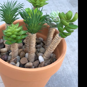 Anita added a photo of their purchase