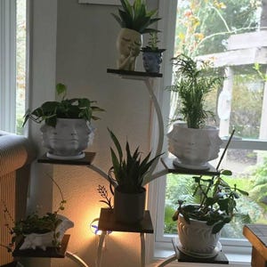 Pam added a photo of their purchase