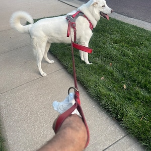 Don added a photo of their purchase