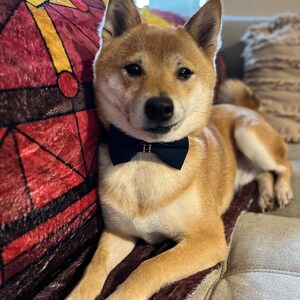 Apisara ha añadido una foto de su compra