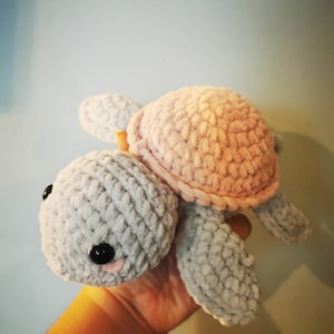 Charlotte added a photo of their purchase