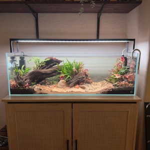 Amanda added a photo of their purchase