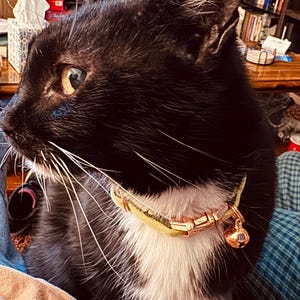 Kimberly hat ein Foto des gekauften Artikels hinzugefügt