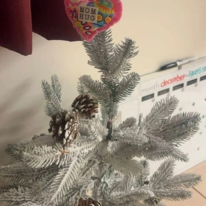 Caitlin added a photo of their purchase