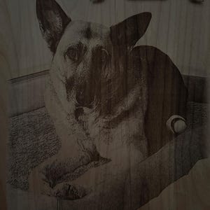 Jared DiLiberto added a photo of their purchase