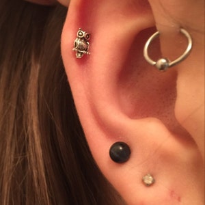 Owl with C.Z Tragus Cartilage Earring Stud