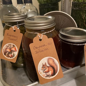 Organic Bay Leaf | Freshly Dried Bay Leaves