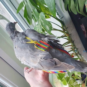 Charley added a photo of their purchase
