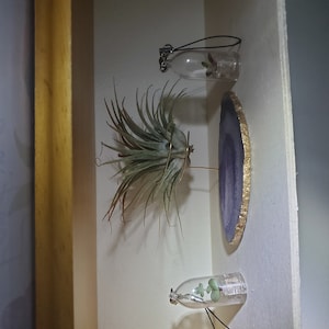 Rossana added a photo of their purchase